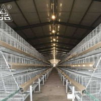 Laying Hens Equipment