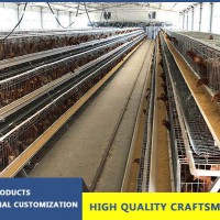 Useful A Type Layer Hens Poultry Equipment