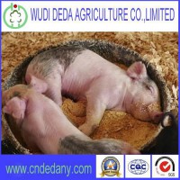 High Protein More Than 60% Corn Gluten Meal For Pig Feed