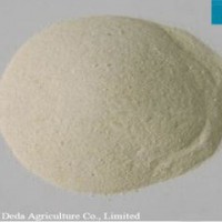 Feed Grade Protein Powder Wheat Gluten Meal for Animal Feed Poultry Feed