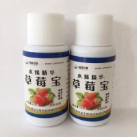 Chinese Manufacturers Natural Organic Fertilizer For Strawberry Plants Liquid
