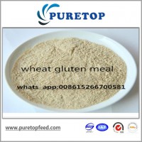 Wheat Gluten Meal For Animal Feed Chicken Feed Feed Grade China Manufacture.