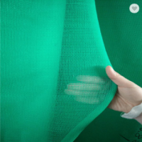 Different gram weight scaffold safety net scaffolding netting