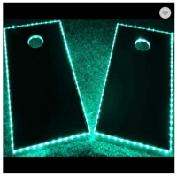 Cornhole set with LED Lighting garden game
