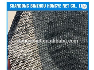 100% new HDPE Shandong Hongye construction safety net