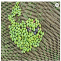 Olive Net for Agriculture 2019 new olive net woven olive harvest netting