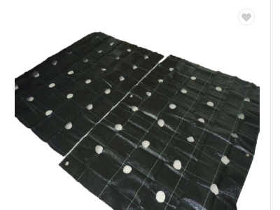 customized size Eco-Friendly anti grass cloth