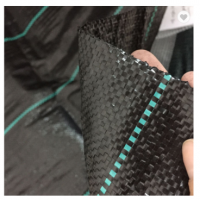 greenhouse anti grass cloth and pp material with black color