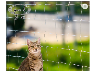 balcony safety net for cat with safety nets for cat protection net