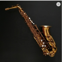 dark honey surface professional model saxophone alto