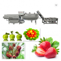 strawberry washing line fruit washer Fruit rinsing machine Food Machinery from Colead