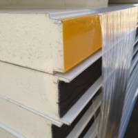 PU/PUR/PIR sandwich panel large cold storage/cold room