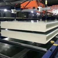 30mm/40mm/50mm/75mm/100mm Stainless PU/PIR Polyurethane Sandwich Panel for Cold/Clean Room