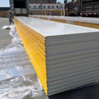 Stainless PU/PIR Polyurethane Sandwich Panel for Cold/Clean Room