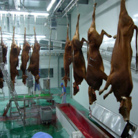 Cattle slaughter equipment for butcher trade