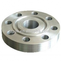 Blind flange with Tongue and Groove face