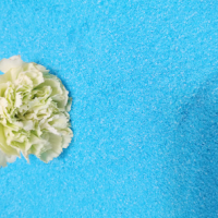 npk fertilizer10-20-20