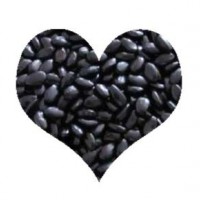 promotional plastic molds grade black masterbatch