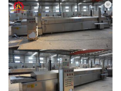 stainless steel 304 food grade fried snacks food production line