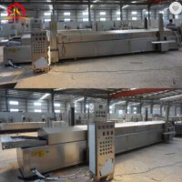 stainless steel 304 food grade fried snacks food production line