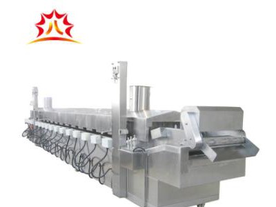 Fully Automatic Banana Chip Frying Machine for Sale