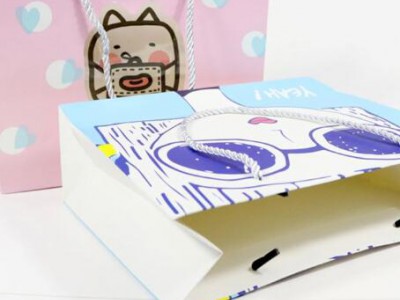 Manufacturer Foldable Packaging Bag Paper Bag Custom Paper Bag