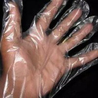 online shopping india disposable plastic pe gloves