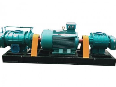 Coupling Drive Roots Type Blower Used for Pressure Swing Absorption