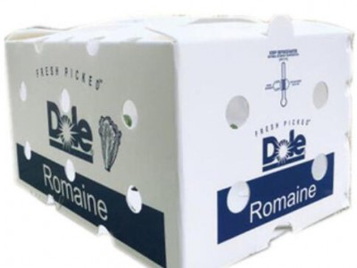 Folding Corrugated Plastic Fruits Storage Boxes