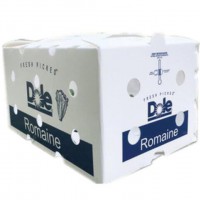 Folding Corrugated Plastic Fruits Storage Boxes