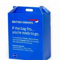 Corrugated Collapsible Plastic Storage Box