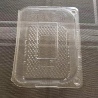 Customized Clear PET transparent Food Fruit Clamshell Plastic Blister packaging Box