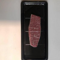 China supplier high quality PP food meat tray manufacturer