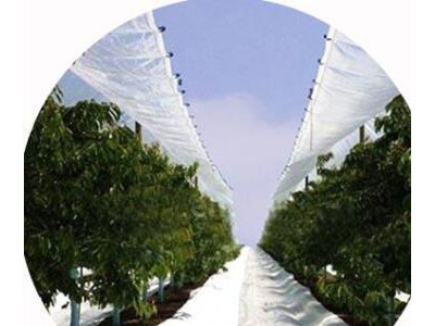 Vegetable Garden Shade Net