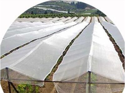 HDPE Agricultural Shade Net