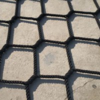 Playground Climbing Net