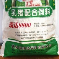 china factory woven polypropylene bags